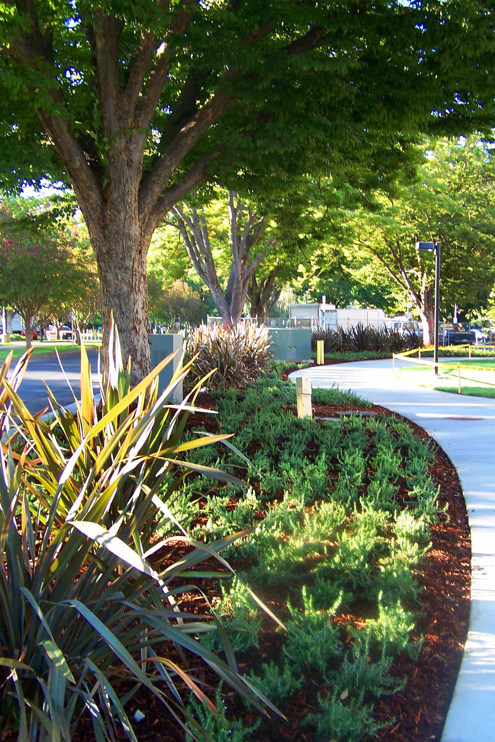 American River Commons Student Housing at Sac State